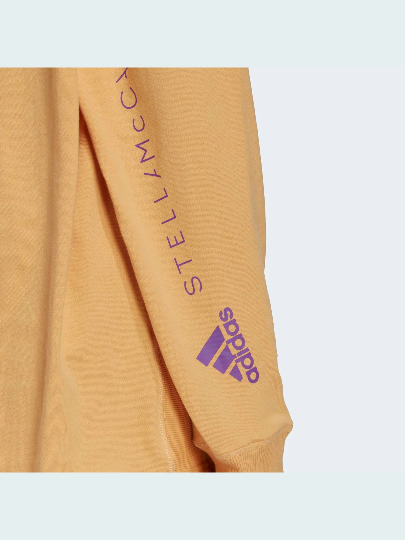 Худи и свитшоты Adidas модель IB5894 Худи и свитшоты Adidas модель IB5894 Фото