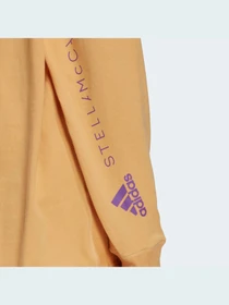 Худи и свитшоты Adidas модель IB5894 Фото