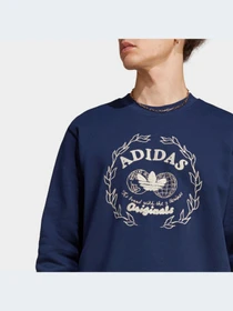 Худі та світшоти Adidas Graphics модель IC5769 Фото