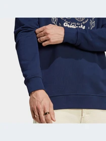 Худі та світшоти Adidas Graphics модель IC5769 Фото