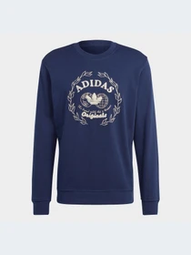 Худі та світшоти Adidas Graphics модель IC5769 Фото