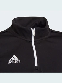 Худи и свитшоты Adidas модель H57547 Фото