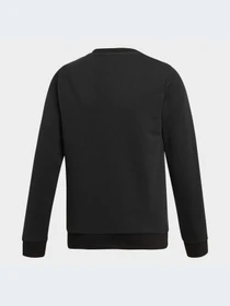 Худі та світшоти Adidas модель ED7797 Фото