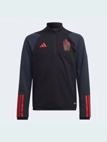 Худі та світшоти Adidas Tiro модель HE1447 Фото