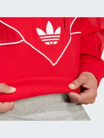 Худі та світшоти Adidas Adicolor модель IC5379 Фото