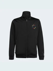 Худи и свитшоты Adidas Adicolor модель HB9461 Фото