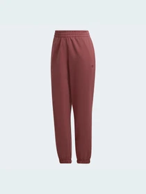 Штани Adidas Adicolor модель HC7097 Фото