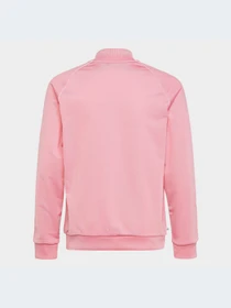 Худи и свитшоты Adidas Adicolor модель HK0299 Фото