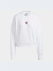 Худи и свитшоты Adidas модель HD0343 Фото
