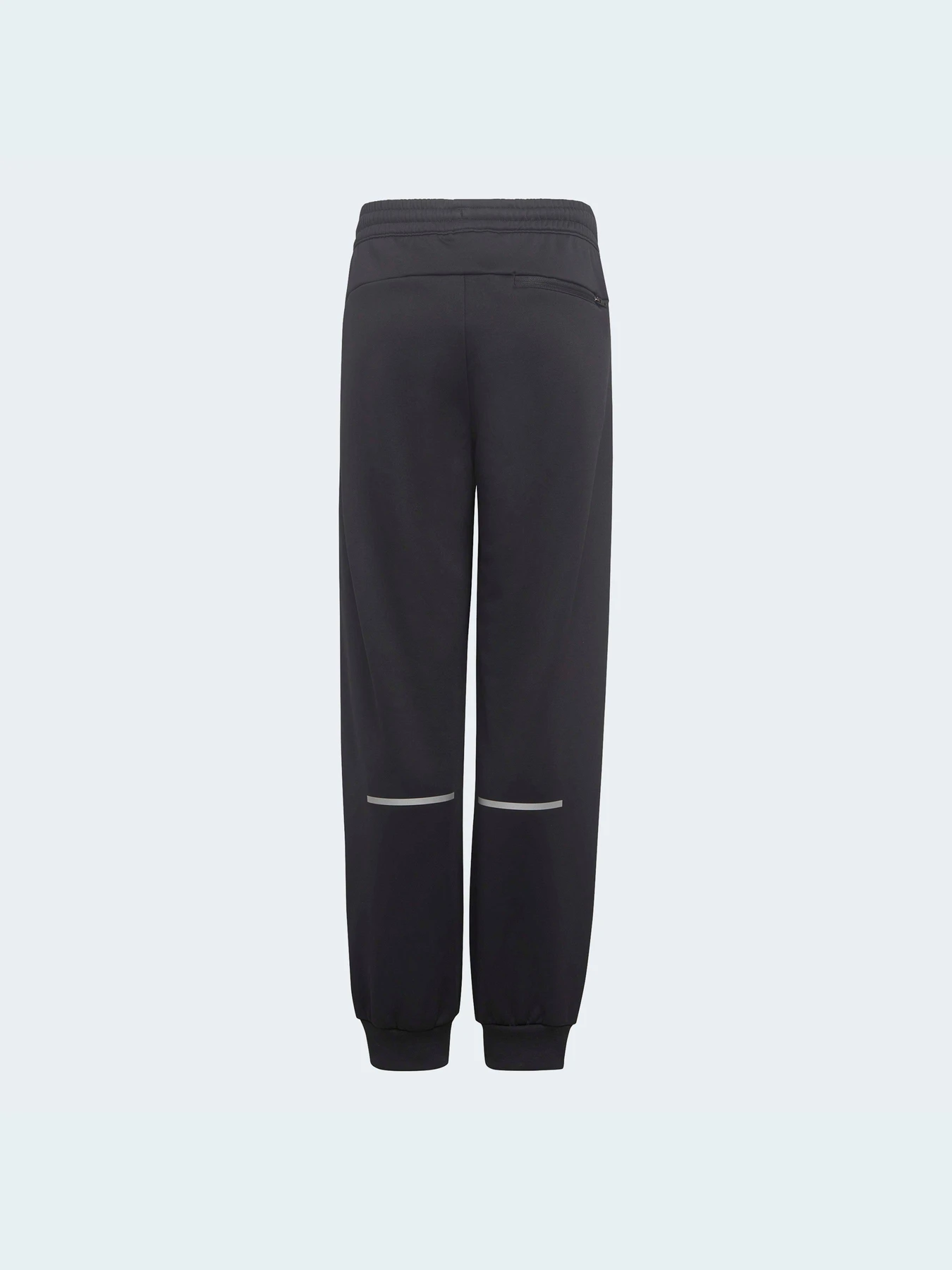 Брюки Adidas модель HM2059 Фото