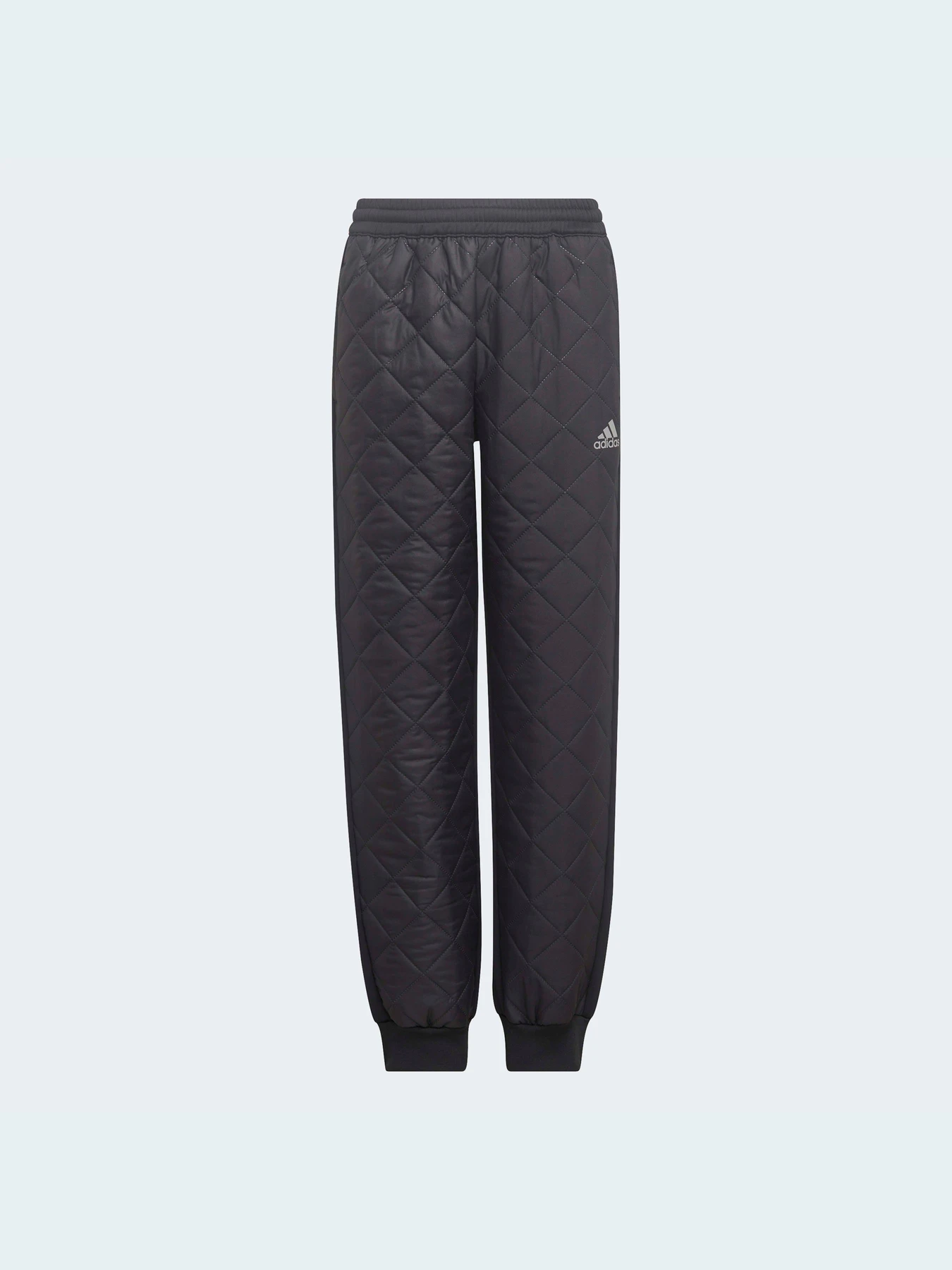 Брюки Adidas модель HM2059 Фото
