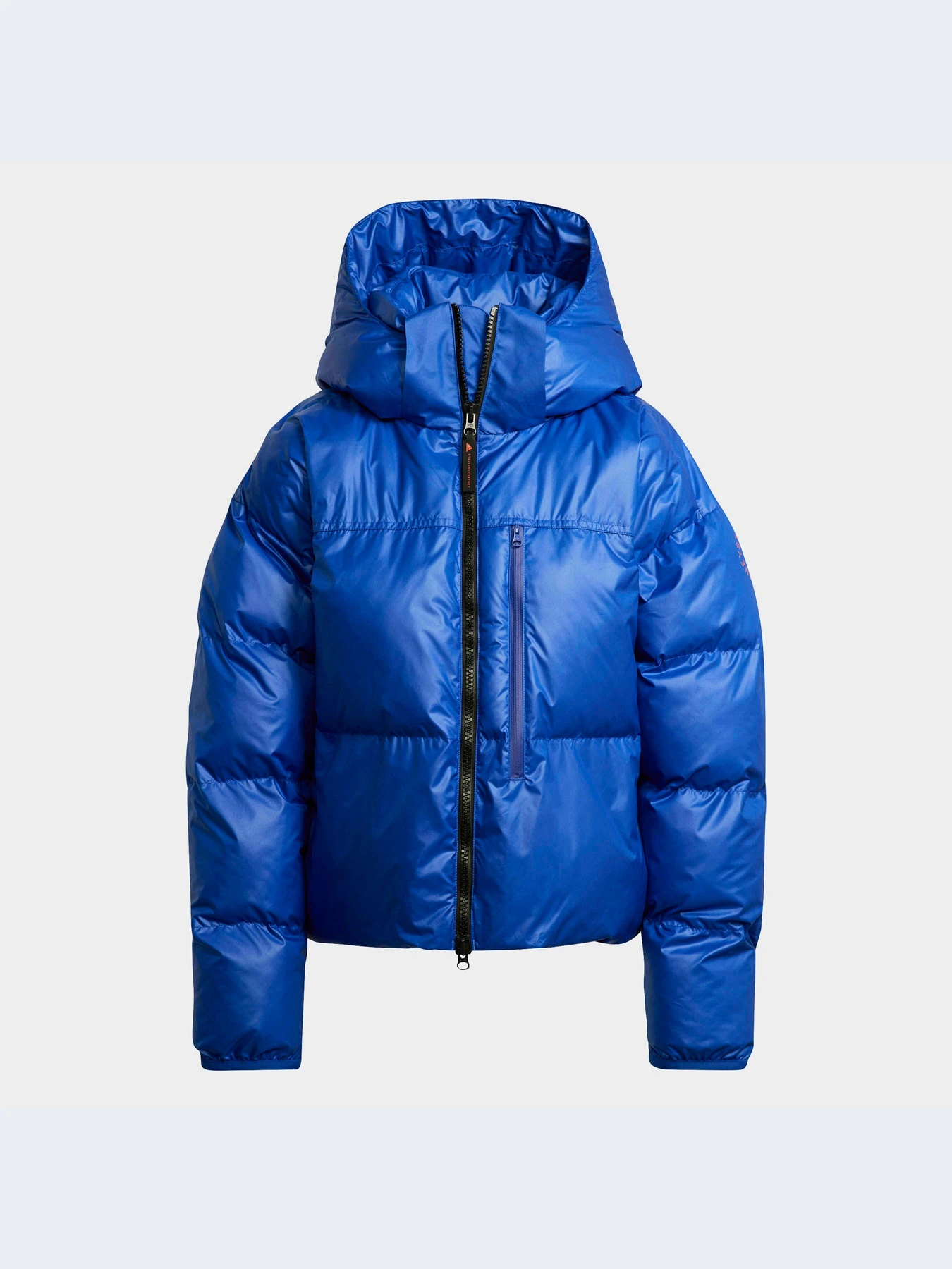 Куртки и дубленки Adidas модель HF4510 Куртки и дубленки Adidas модель HF4510 Фото