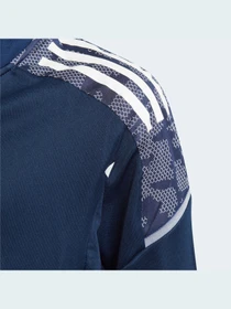 Худи и свитшоты Adidas Condivo модель GK9576 Фото