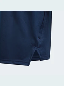 Худи и свитшоты Adidas Condivo модель GK9576 Фото
