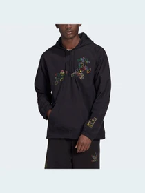 Куртки та дублянки Adidas Graphics модель HF4929 Фото