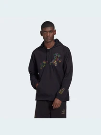 Куртки та дублянки Adidas Graphics модель HF4929 Фото