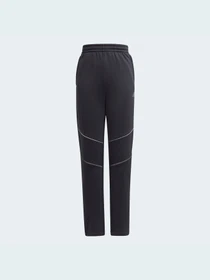 Брюки Adidas модель GU4323 Фото