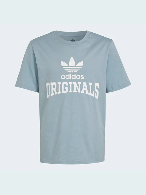 Футболки и поло Adidas Graphics модель HL6872 Фото
