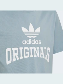 Футболки и поло Adidas Graphics модель HL6872 Фото