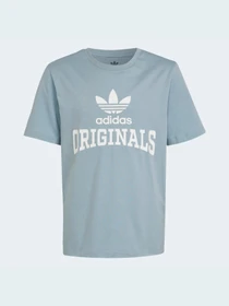 Футболки и поло Adidas Graphics модель HL6872 Фото