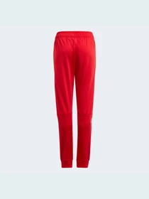 Брюки Adidas модель GN7445 Фото