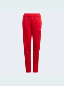 Брюки Adidas модель GN7445 Фото