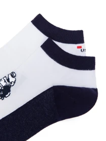 Носки и гольфы US Polo модель TAMAS-IY23.VR013 Фото