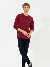 Худи и свитшоты US Polo модель G081SZ082.000.1499039.VR223 Фото