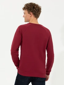 Худи и свитшоты US Polo модель G081SZ082.000.1499039.VR223 Фото