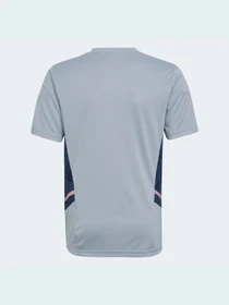 Футболки и поло Adidas Condivo модель HA5273 Фото