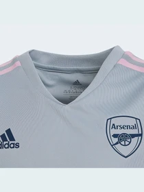 Футболки и поло Adidas Condivo модель HA5273 Фото