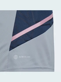 Футболки и поло Adidas Condivo модель HA5273 Фото
