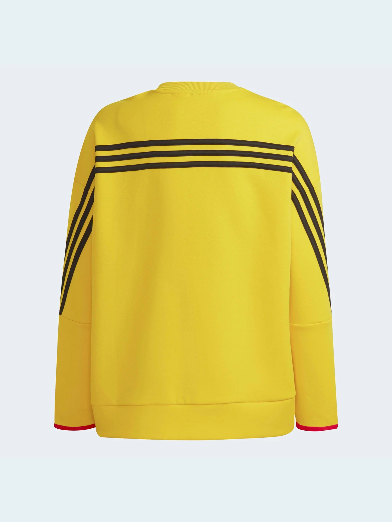 Худі та світшоти Adidas модель H65329 Худі та світшоти Adidas модель H65329 Фото
