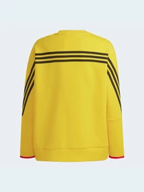 Худі та світшоти Adidas модель H65329 Фото