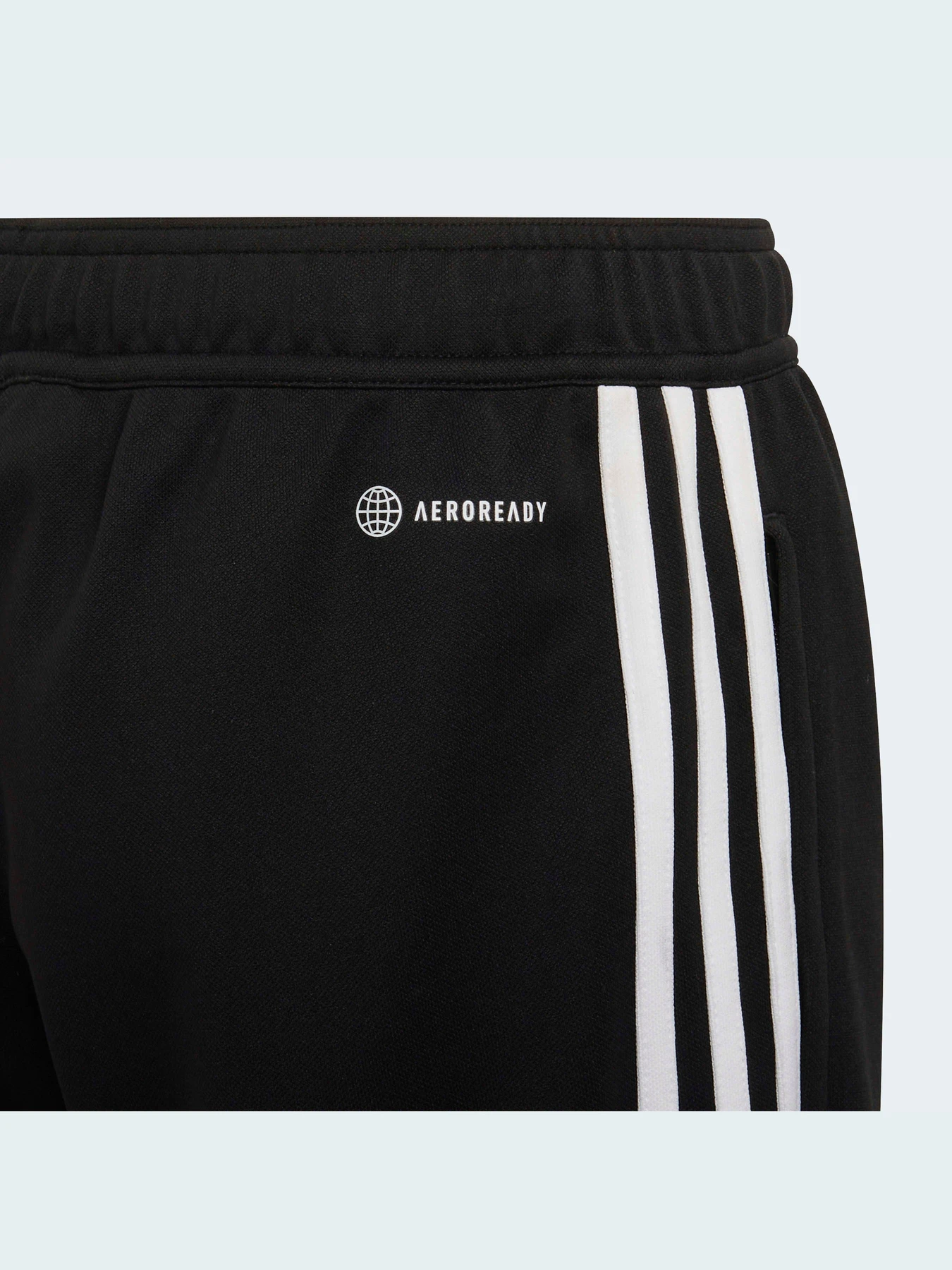 Штани Adidas Condivo модель HA6248 Штани Adidas Condivo модель HA6248 Фото