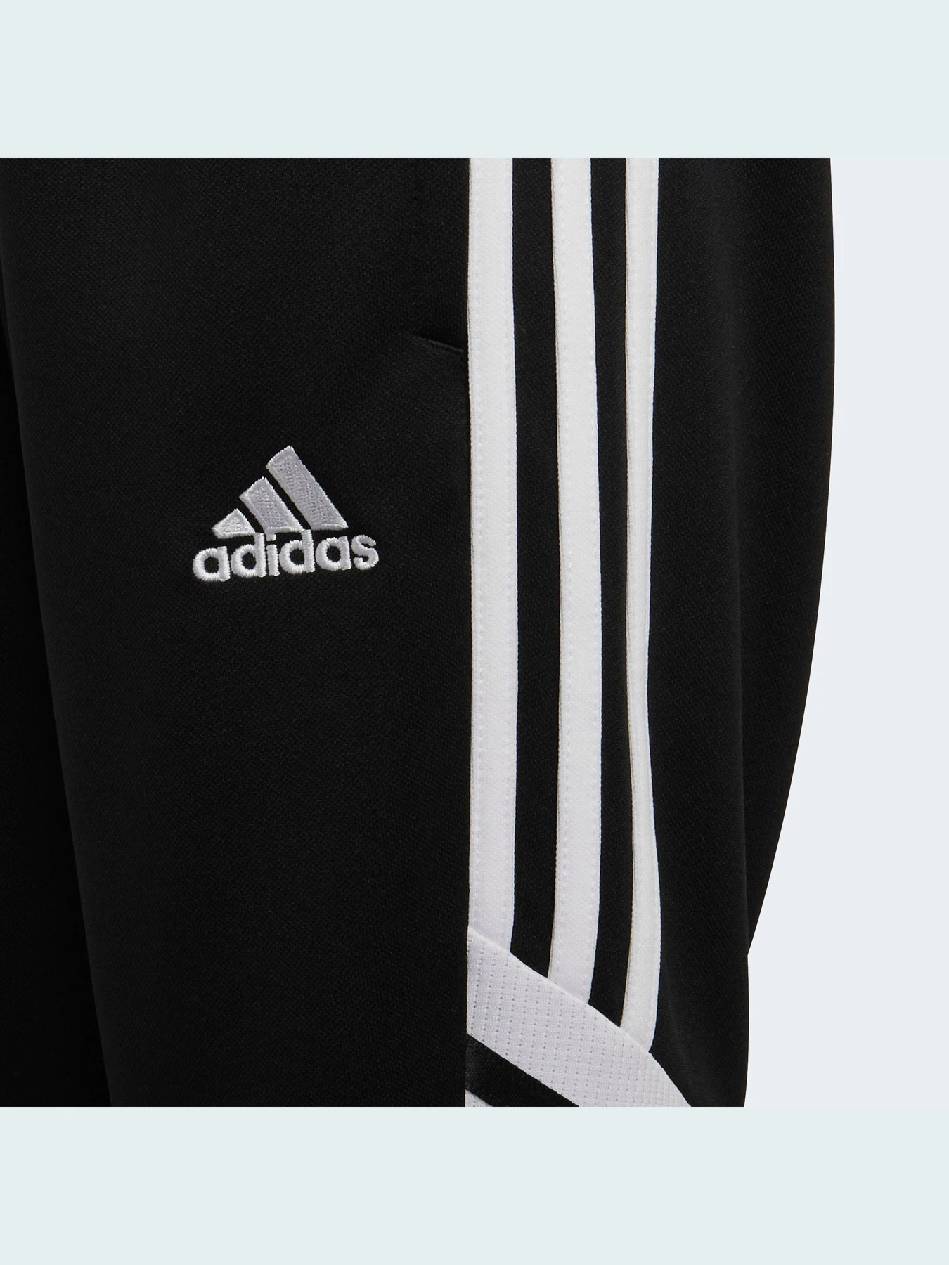 Штани Adidas Condivo модель HA6248 Штани Adidas Condivo модель HA6248 Фото