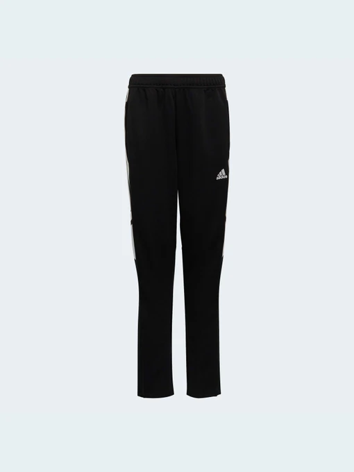 Брюки Adidas Condivo модель HA6248 Фото