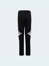 Штани Adidas Condivo модель HA6248 Фото