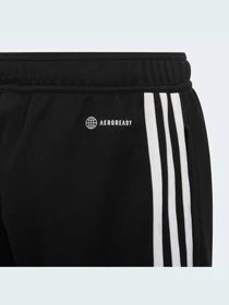 Штани Adidas Condivo модель HA6248 Фото