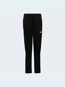 Штани Adidas Condivo модель HA6248 Фото