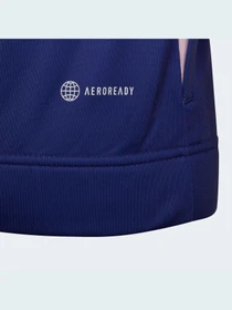 Худи и свитшоты Adidas x Disney модель HF1875 Фото