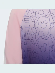 Худи и свитшоты Adidas x Disney модель HF1875 Фото