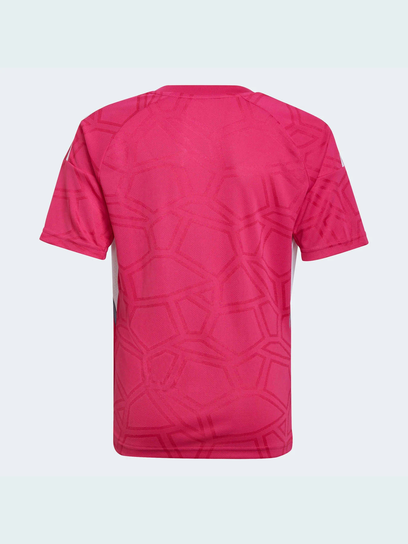 Футболки и поло Adidas Condivo модель HG4109 Футболки и поло Adidas Condivo модель HG4109 Фото