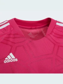 Футболки и поло Adidas Condivo модель HG4109 Фото