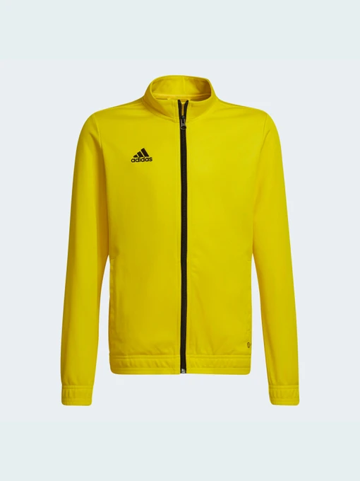 Худи и свитшоты Adidas модель HI2139 Фото
