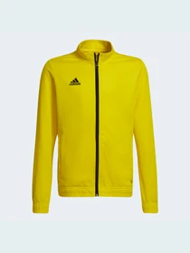 Худі та світшоти Adidas модель HI2139 Фото