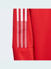 Куртки та дублянки Adidas Tiro модель GP4976 Фото