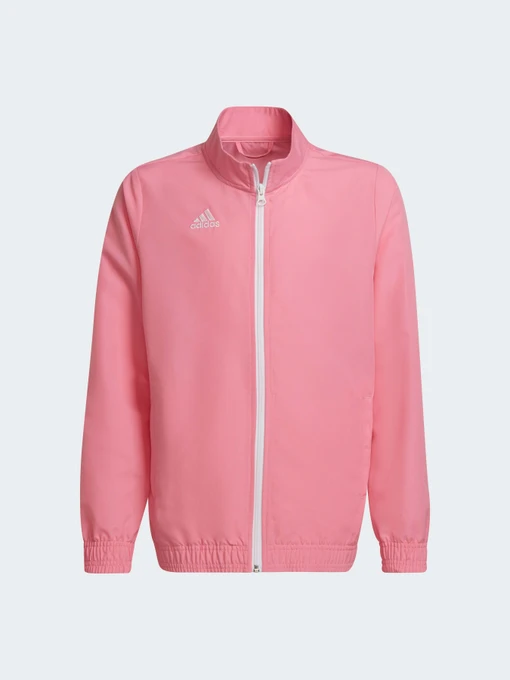 Худи и свитшоты Adidas модель HC5037 Фото