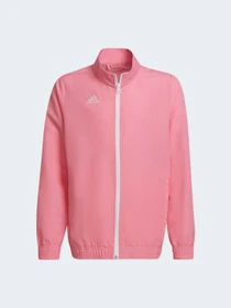 Худі та світшоти Adidas модель HC5037 Фото