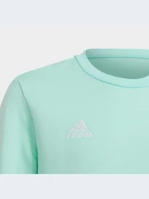 Худі та світшоти Adidas модель HC5042 Фото